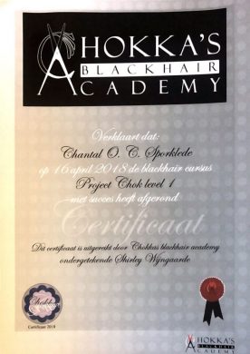 Certificaat_ChokkasAcademy